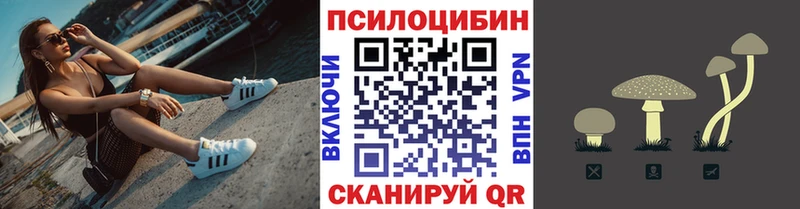 Галлюциногенные грибы Psilocybine cubensis  купить наркотики сайты  Гулькевичи 